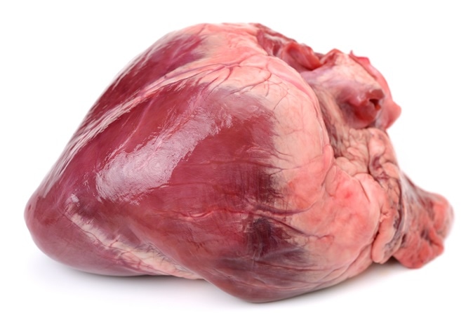 Transplant pig heart Pig heart