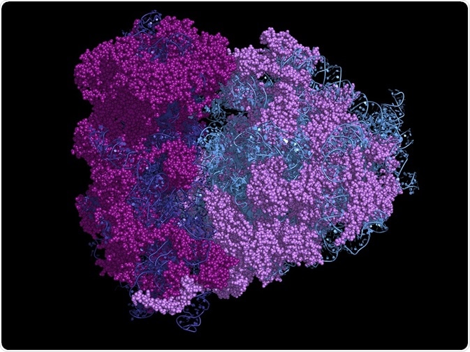 Rrna Trna And Mrna Modifications