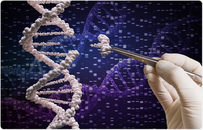 Genetic manipulation and DNA modification concept. Image Credit: vchal / Shutterstock