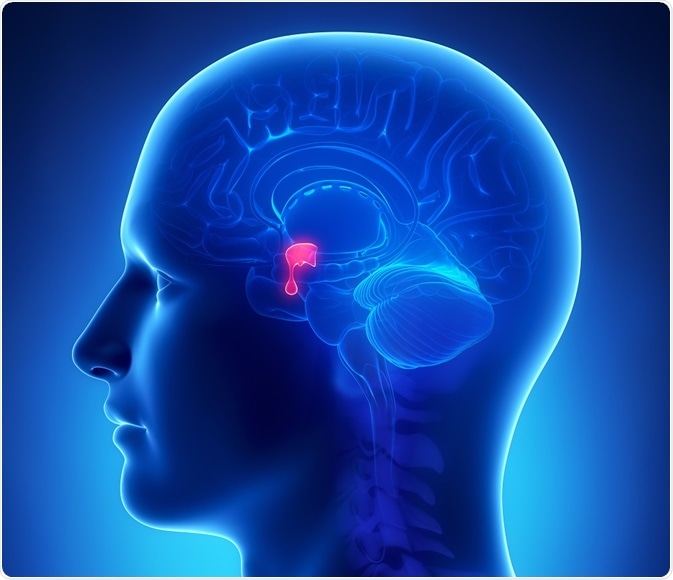 Risk Factors for Pituitary Tumors