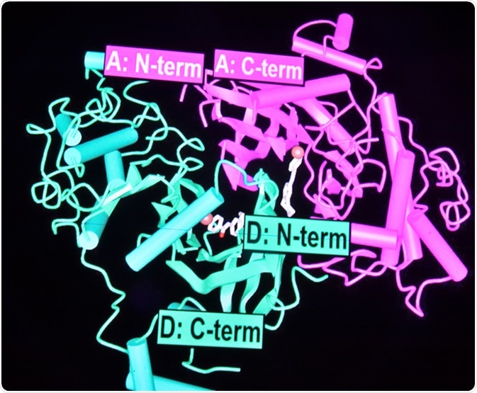 Proteomics. New technologies for the study of biological macromolecules. Image Credit: Sergei Drozd / Shutterstock