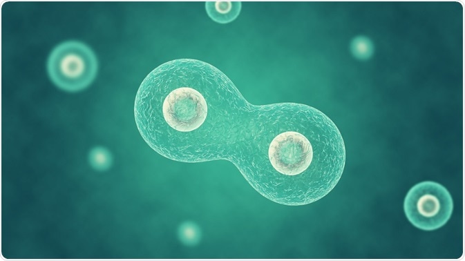 The Mechanism DNA Damage by UV Radiation