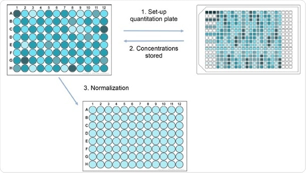 simplified dna quantification and