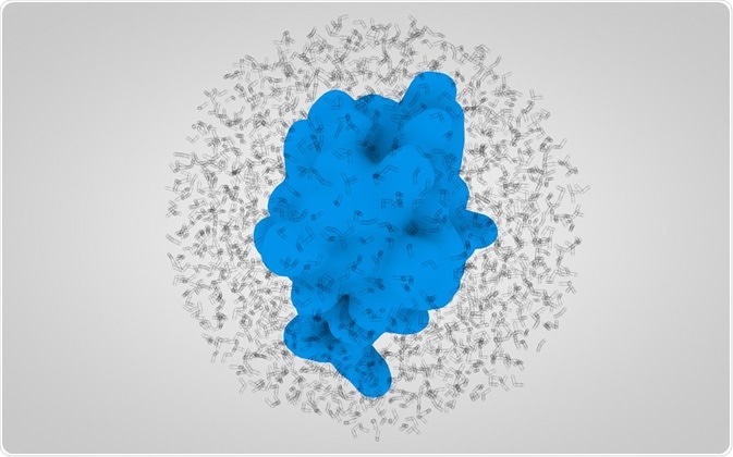 Types Of Protein Post Translational Modification