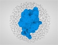 Types Of Protein Post Translational Modification