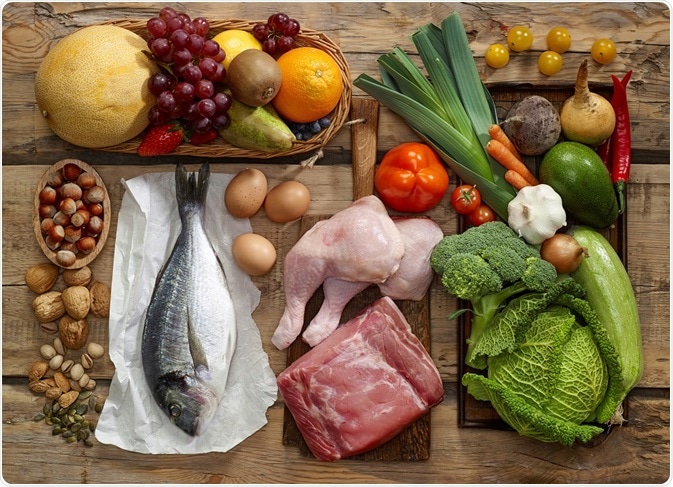 understanding the paleo diet