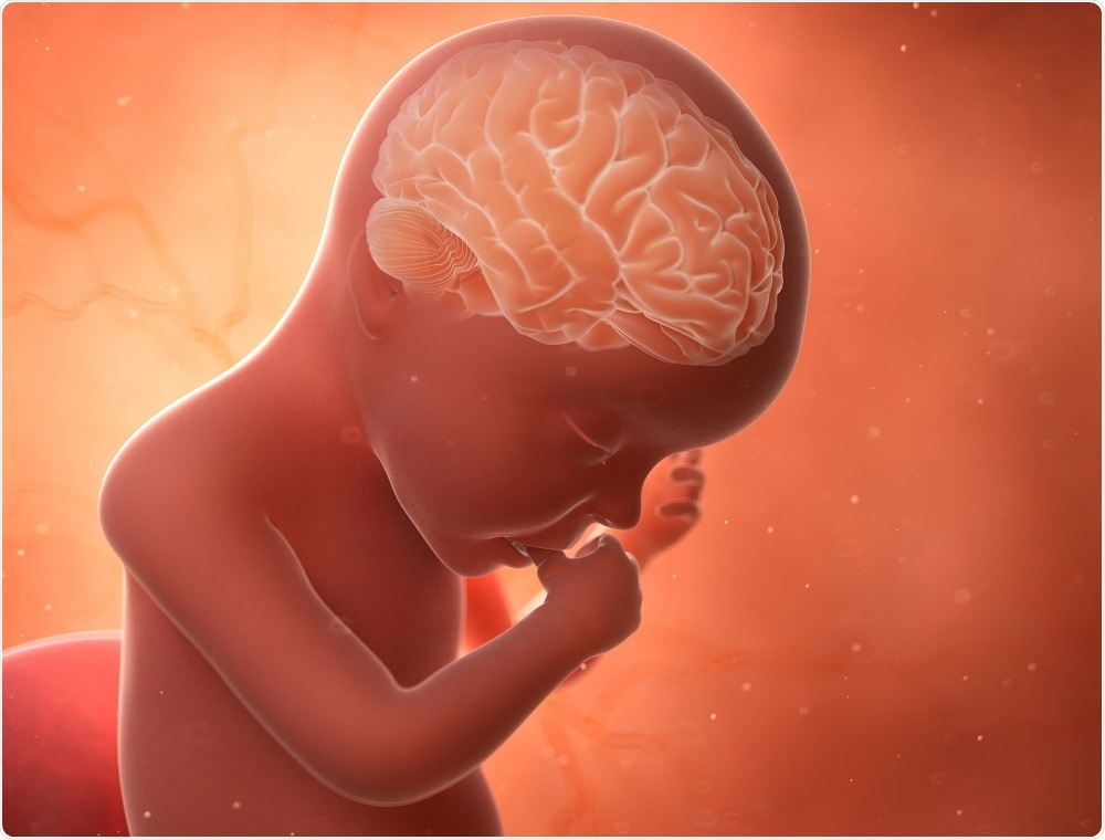 Diet may affect brain development in premature babies