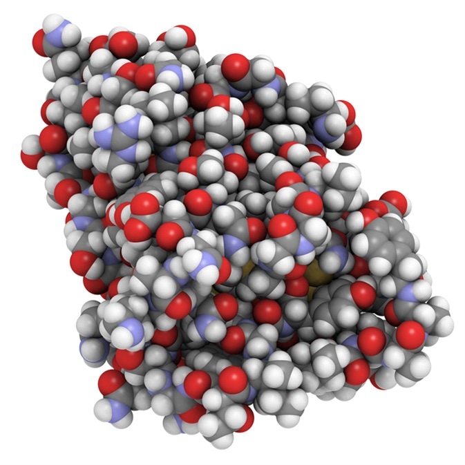 Nanobody Applications