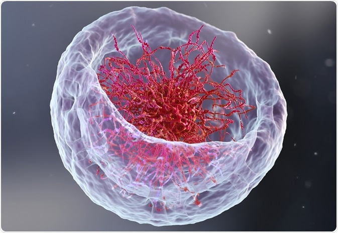 Chip Seq Histone Modification - Native Internally Calibrated Chromatin Immunoprecipitation For Quantitative Studies Of Histone Post Translational Modifications Nature Protocols : Their activity can be determined using enzyme activity assays.