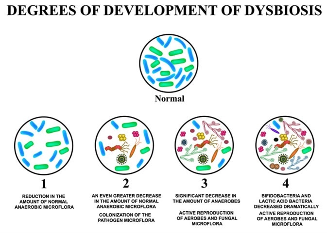 dysbiosis of the gut microbiome)