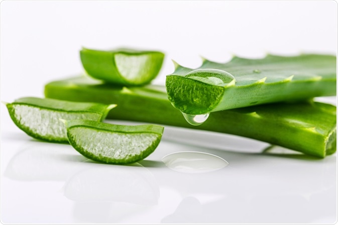 Health Benefits and Dangers of Aloe Vera