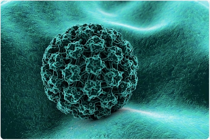 papilomavirusul uman