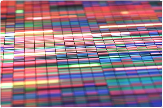 16s Rrna Sequencing
