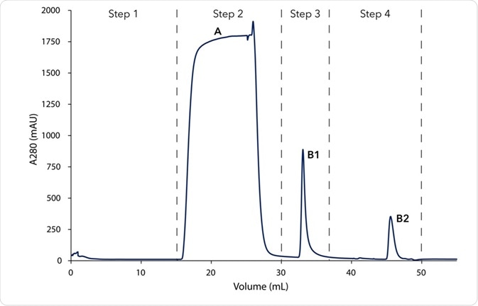 Chromatogram of the two-step mouse IgG purification