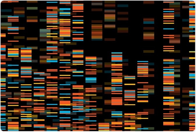 Functional genomics - By Zita