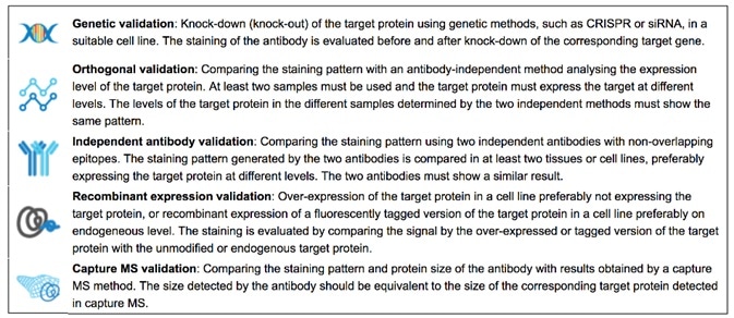 The Validation icons used on the Human Protein Atlas. Image from the Human Protein Atlas.