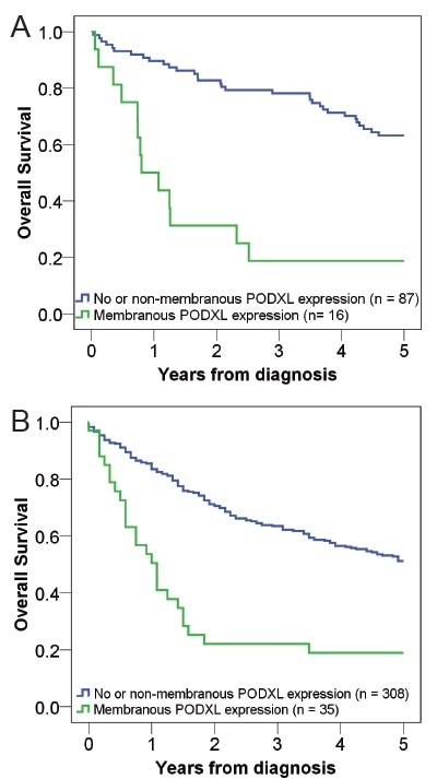 Kaplan–Meier estimates of five-year Overall Survival (OS) according to PODXL expression in (A) Cohort I and (B) Cohort II.