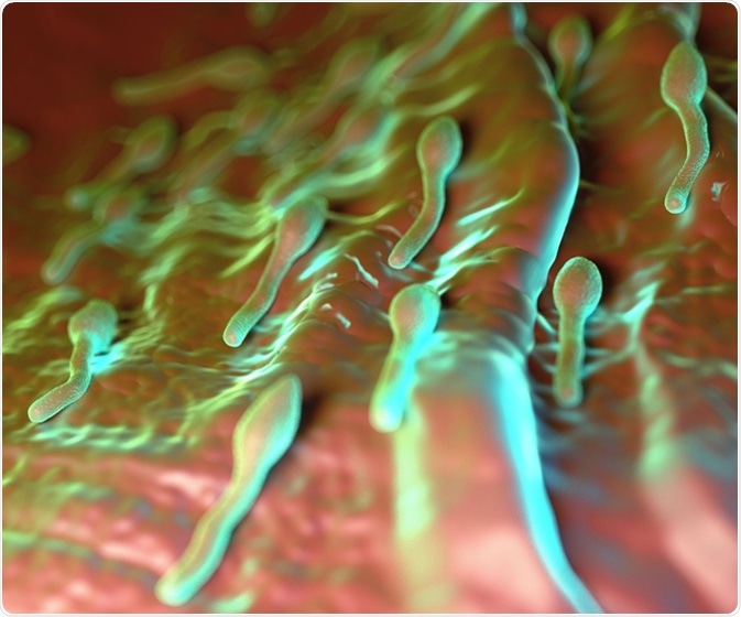 3d rendering - clostridium tetani bacterium. Image Credit: royaltystockphoto.com / Shutterstock
