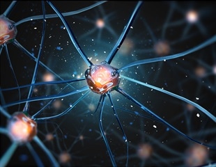 Autism linked to prolonged connection between brain regions