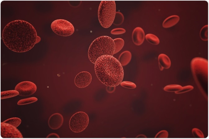 Red blood cells undergoing hematopoiesis. By Razvan Dan Paun