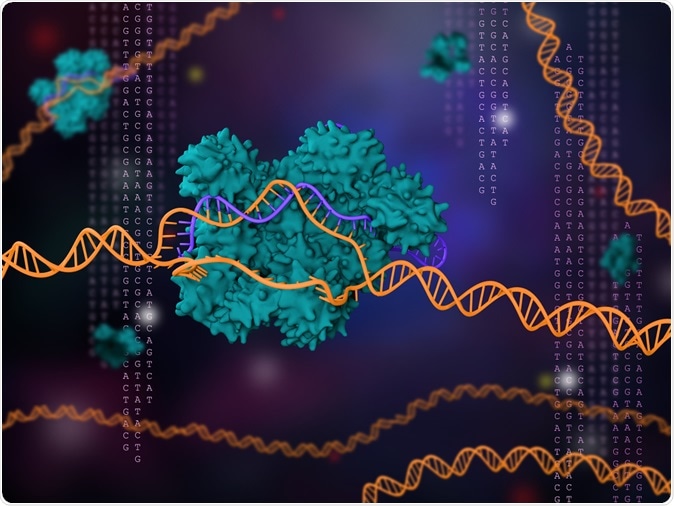 3d illustration of CRISPR-Cas9 technology. Image Credit: Meletios Verras / Shutterstock