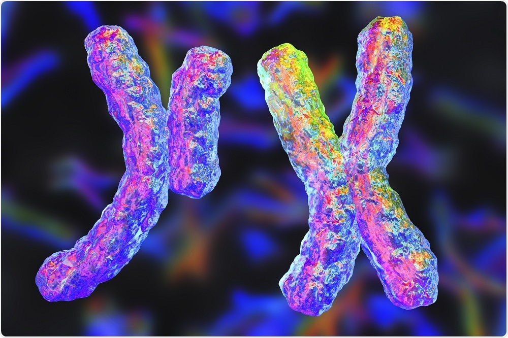 X and Y chromosomes - by Kateryna Kon
