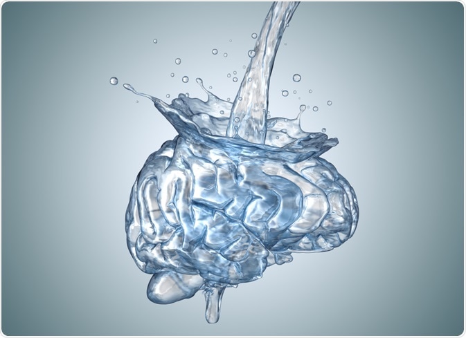 Water and the brain - an illustration by Tatiana Shepeleva