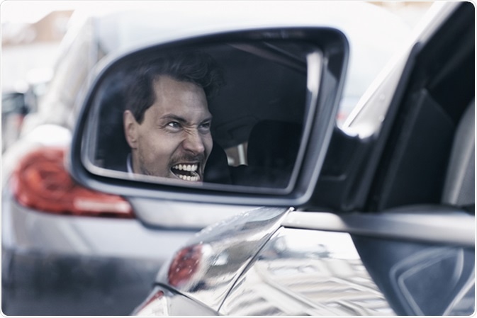 Image Credit: Sanneberg / Shutterstock Image Credit: Sanneberg / Shutterstock