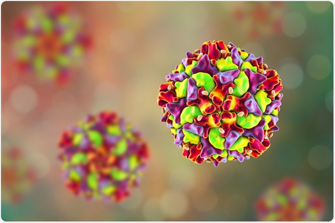 Poliovirus, an RNA virus from Picornaviridae family that causes polio disease, 3D illustration. Image Credit: Kateryna Kon / Shutterstock