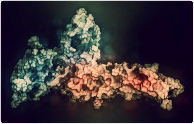 Programmed Cell Death Protein 1 (PD1)