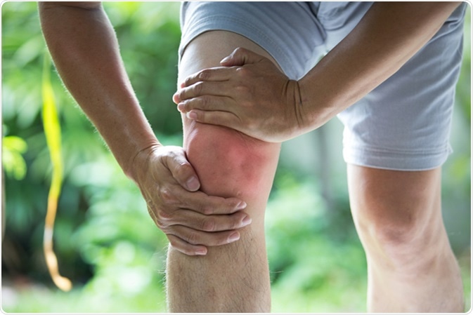 Image Credit: Poylock19 / Shutterstock Image Credit: Poylock19 / Shutterstock