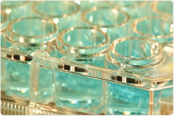 Laboratory microplate ready for spectroscopy reading. Image Credit: Schlyx / Shutterstock