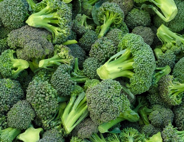 Broccoli's effects on kidney health may depend on individual's genetics