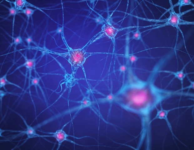 Researchers identify potential drug targets for glioblastoma Researchers identify potential drug targets for glioblastoma