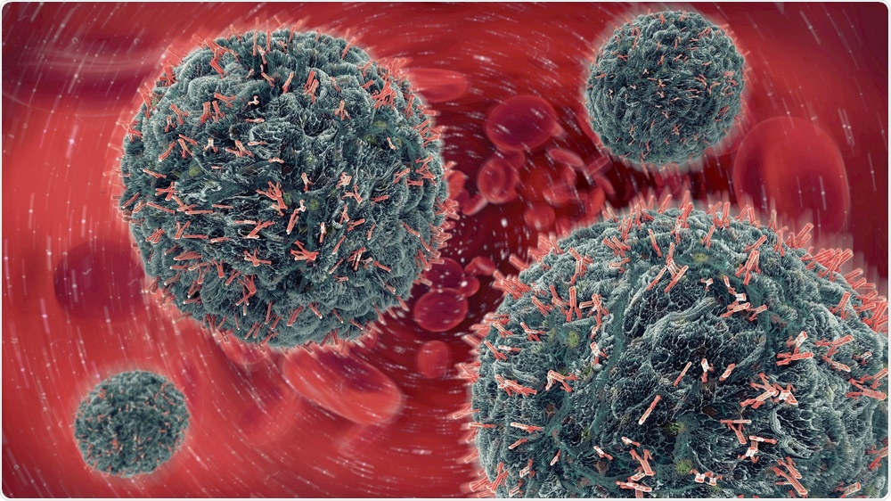 Cells in the immune system