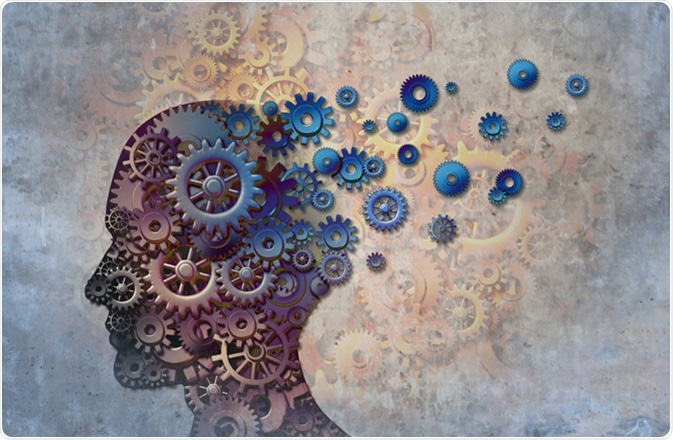 Image Credit: Lightspring / Shutterstock Image Credit: Lightspring / Shutterstock