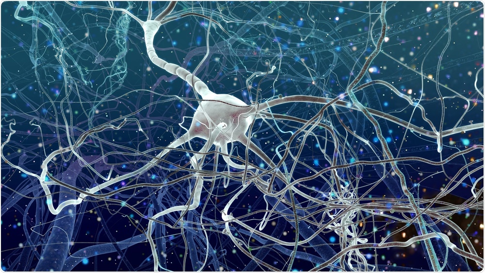 Neurons tangled in Alzheimer's Disease