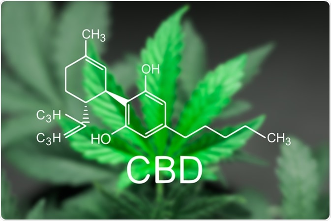 Image Credit: Lifestyle discover / Shutterstock Image Credit: Lifestyle discover / Shutterstock