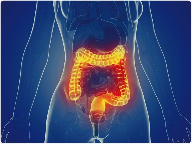 IBD far more common than expected, and will only increase in future