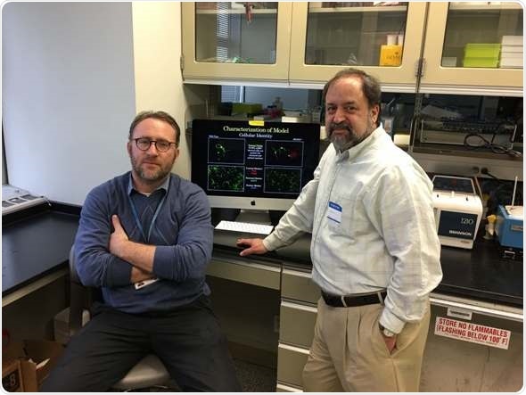 Study seeks participants with VCFS-related psychosis to help create biobank of cerebral organoids