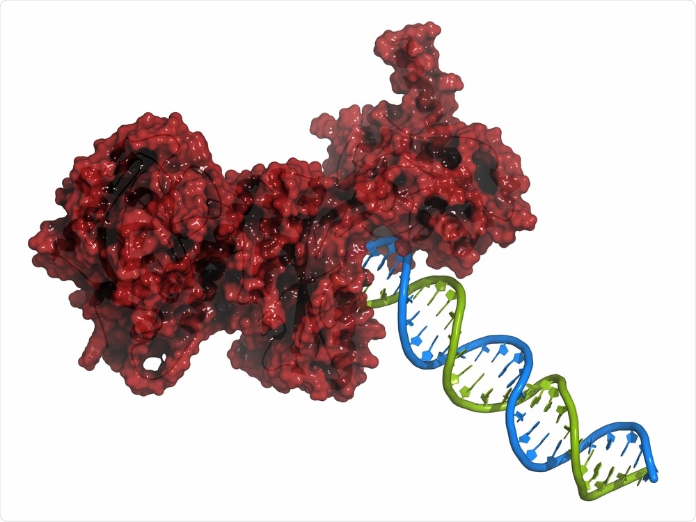 Targeted therapy slows disease progression and improves survival for prostate cancer