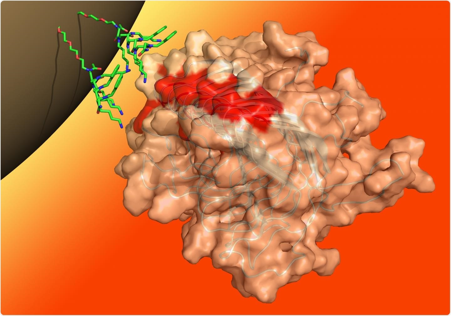 Game-changing diagnostic test for prion diseases