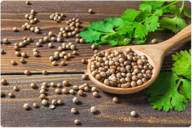 The Health Benefits Of Cilantro Coriander