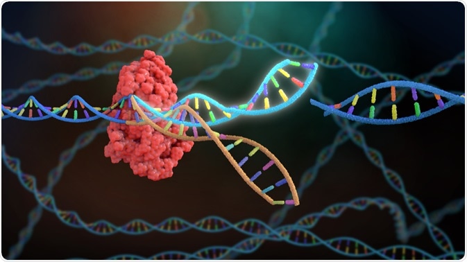 Corregir la DNA de la esperma usando CRISPR