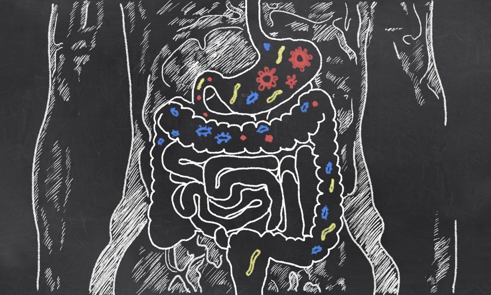 A type of gut bacteria may increase risk of bowel cancer