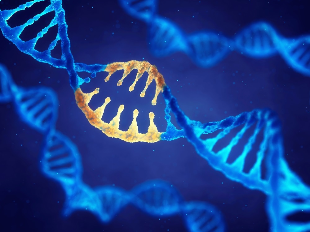 Scientists discover gene mutation involved in paraplegia and epilepsy