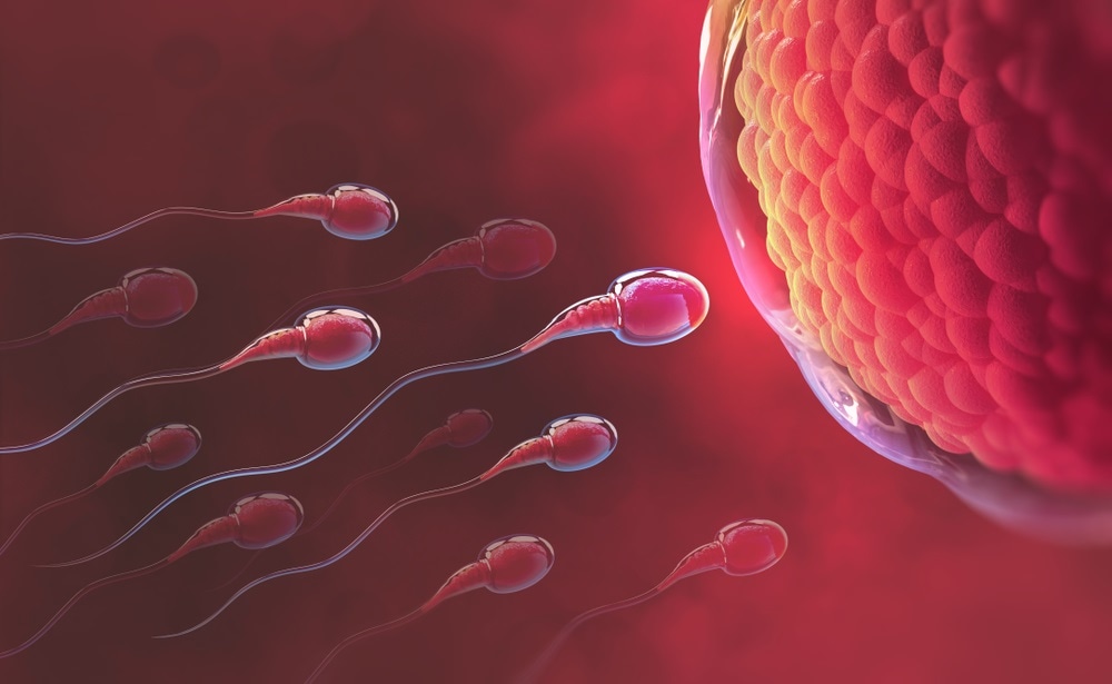 Men Responsible For Over 60% Infertility In Marriages 