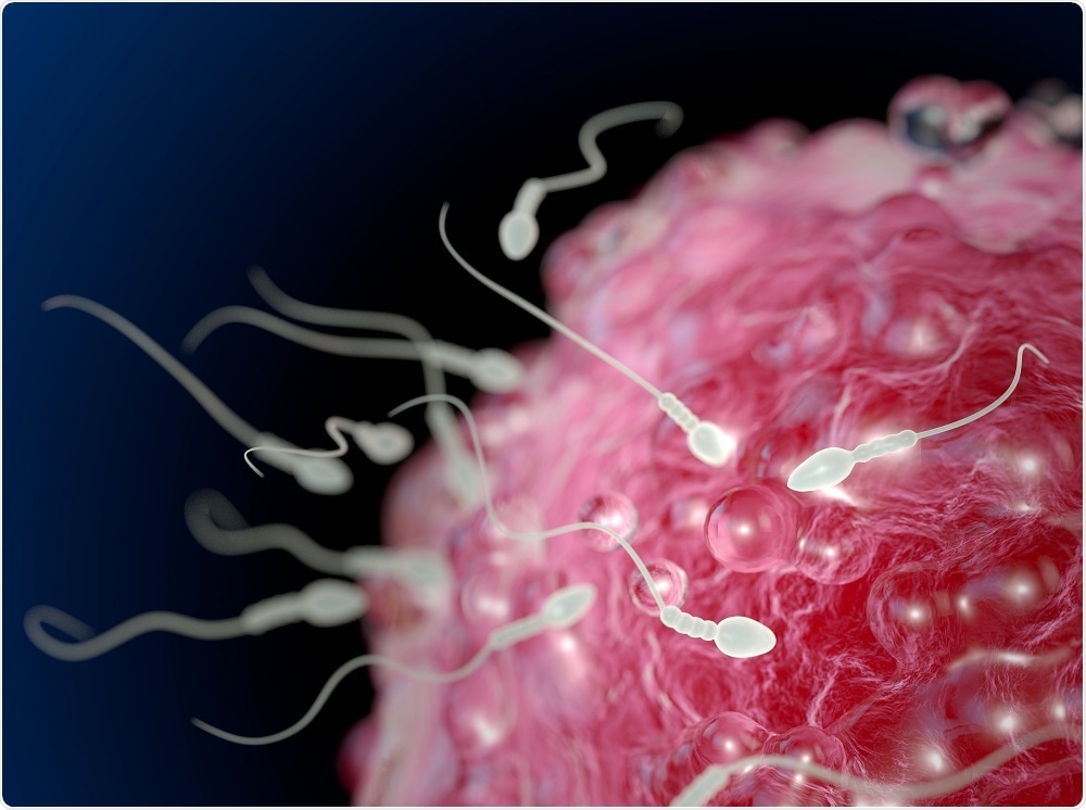 Female Reproductive Tract Blocks Weak Sperm From Reaching Egg