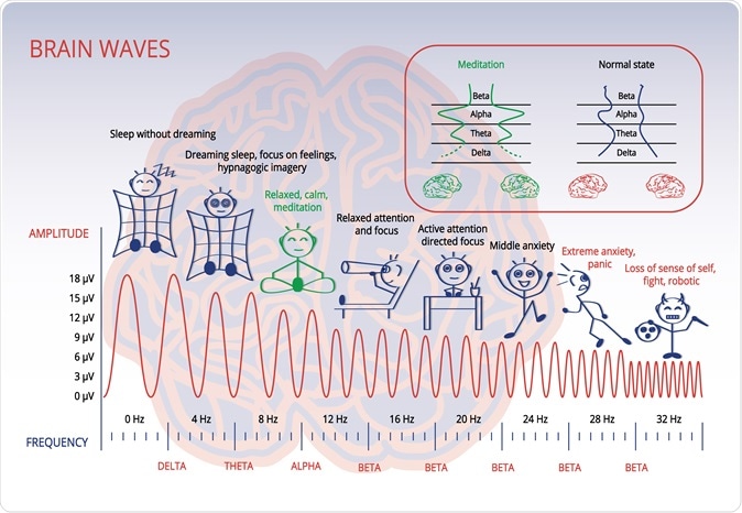 Neuro Clinic » What are the Brain Waves Frequencies? - Neuro Clinic