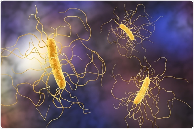 clostridium difficile colitis fogyás)